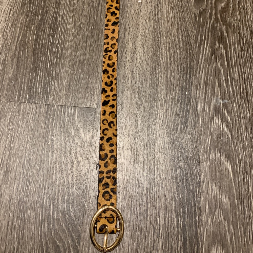 Cheetah belt